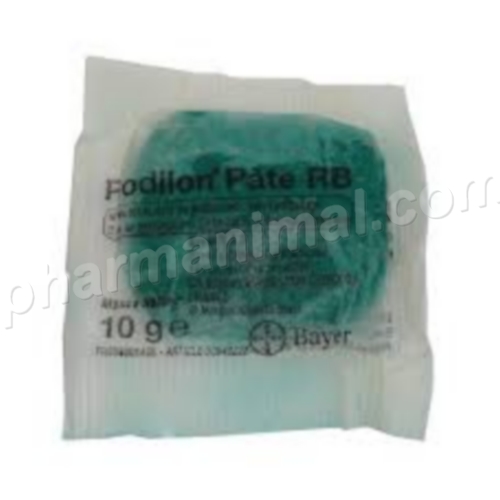 RODILON PATE SACHET 10 G - LOT DE 20